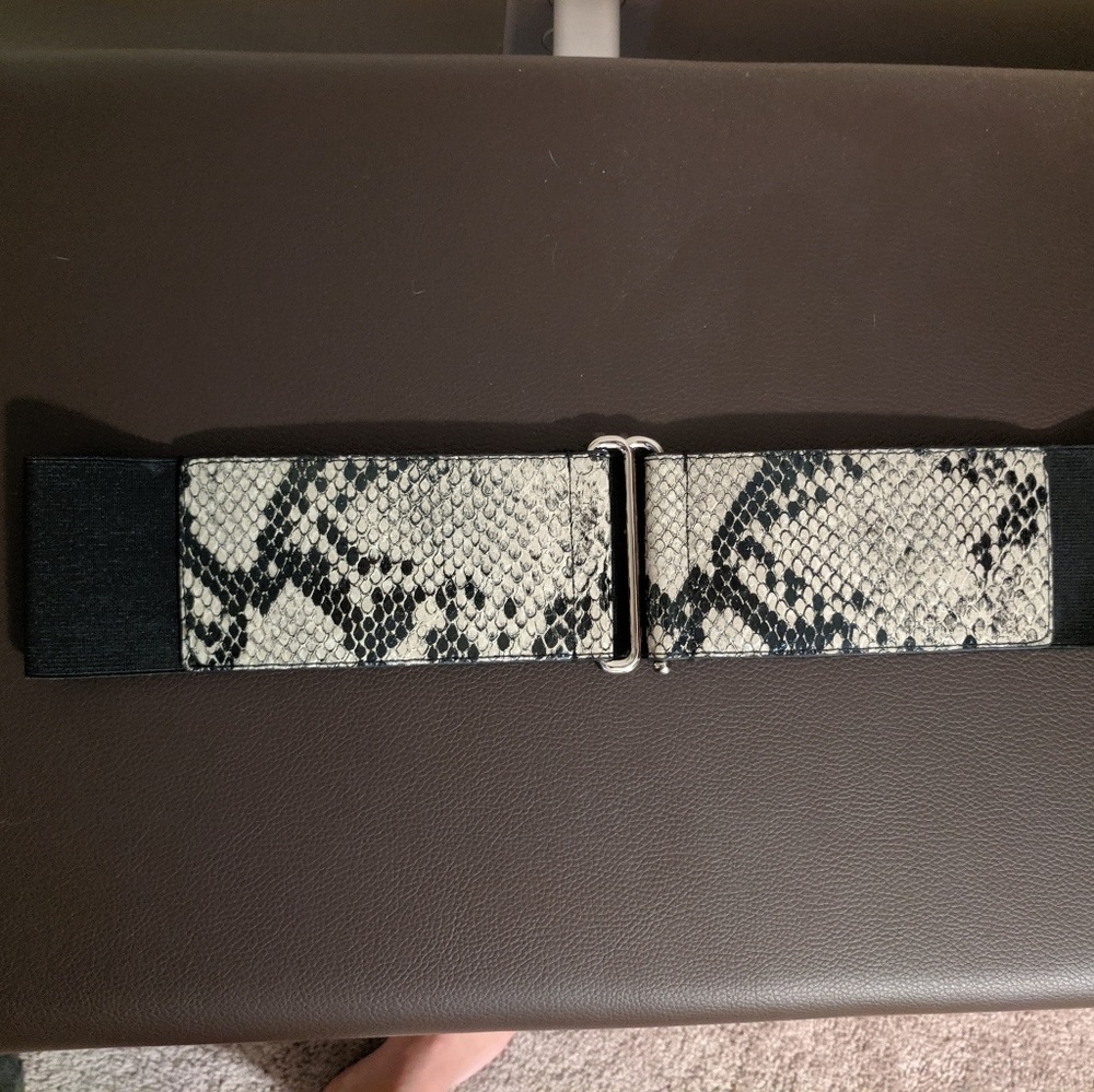 Express belt - Picture 3 of 5